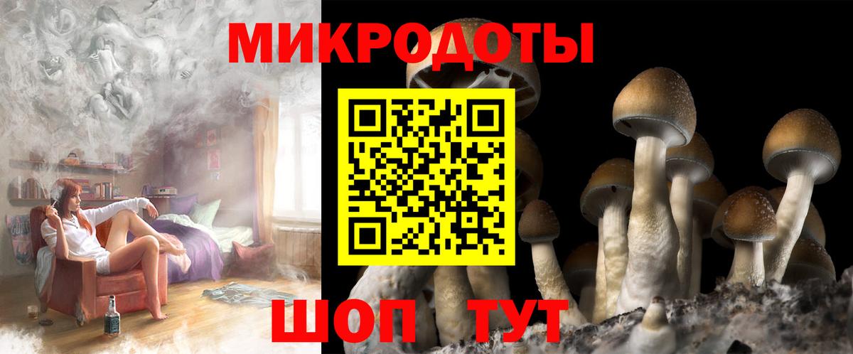 Галлюциногенные грибы Psilocybine cubensis Гусев