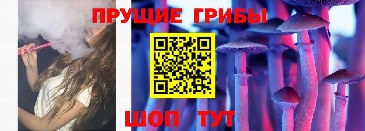 дарнет шоп  Псилоцибиновые грибы мицелий  Псилоцибиновые грибы Psilocybe  Вход с VPN  Гусев 
