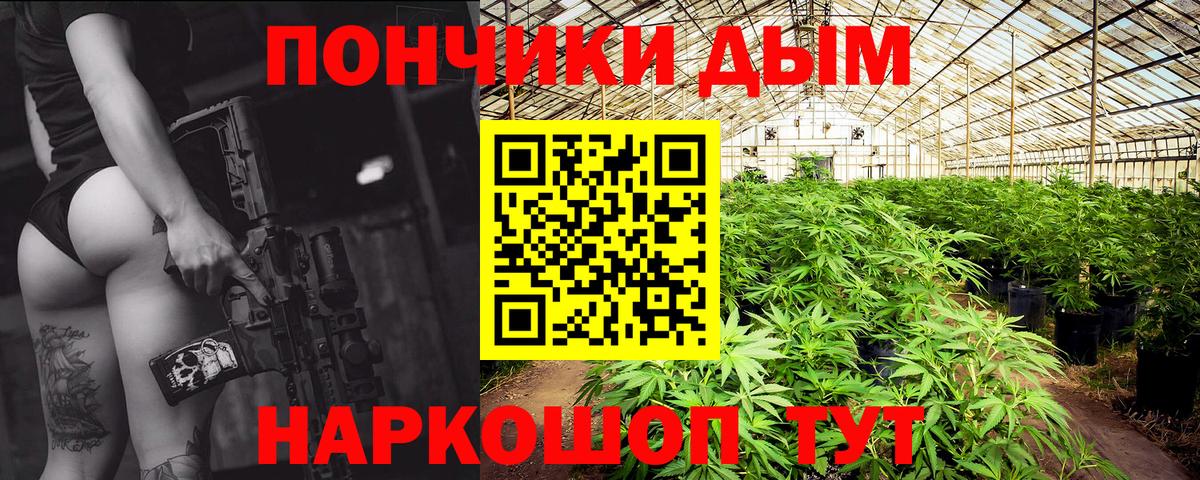 Канабис Bruce Banner  Каннабис тримм  Вход с VPN  Гусев  Канабис White Widow 
